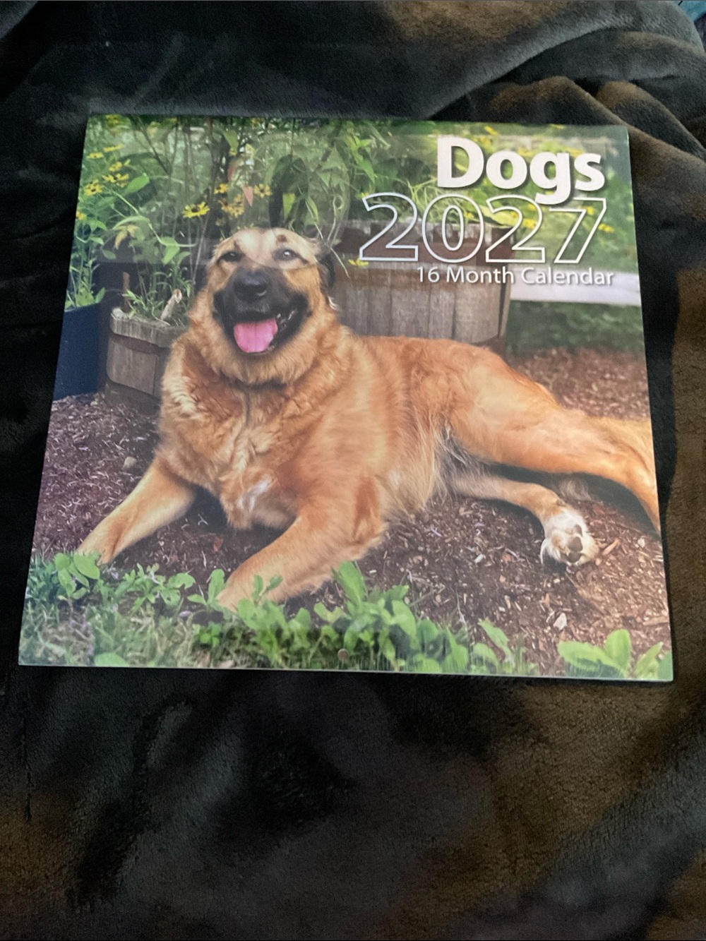2027 Dogs Calendar